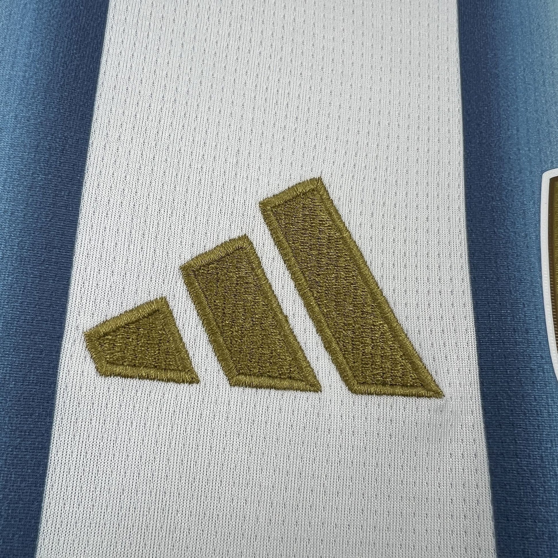2026 Argentinien Heim-WM-Trikot Fan-Version