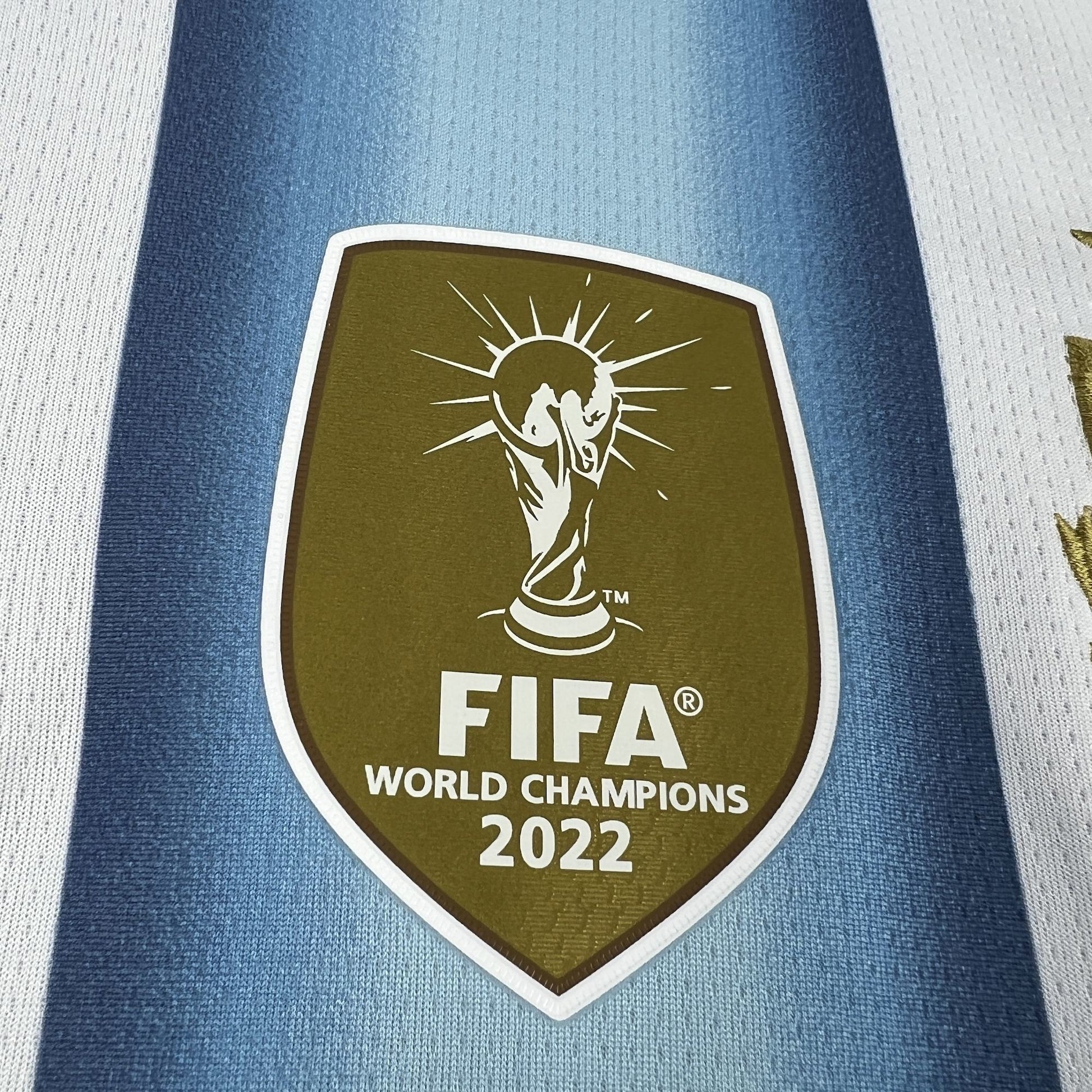 2026 Argentinien Heim-WM-Trikot Fan-Version